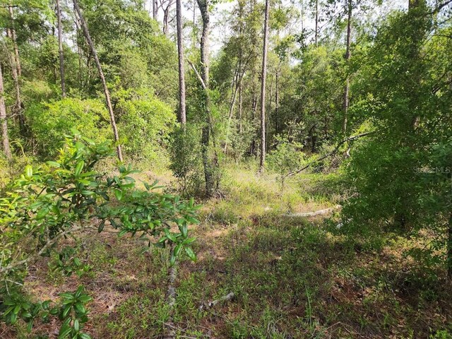 LOT24 SW Hunter Hill Ave, Dunnellon, FL 34431