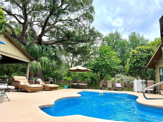 view of pool featuring a patio area and view of wooded area
