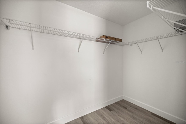 walk in closet featuring wood finished floors