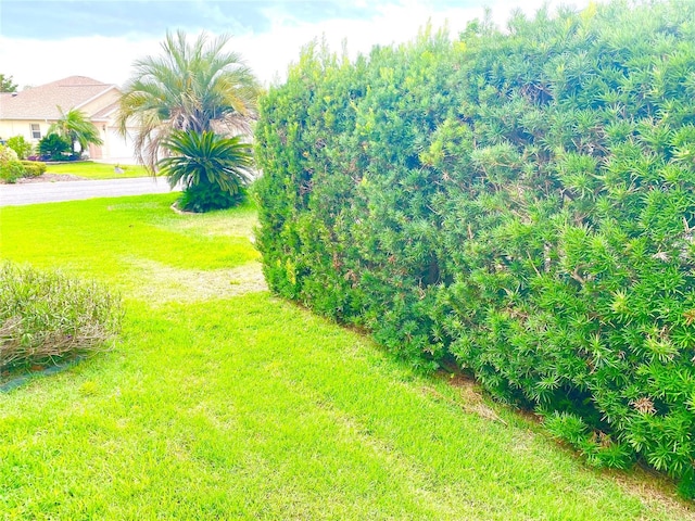1402 Arredondo Dr, The Villages, FL 32162 - view of grassy yard with driveway