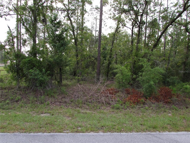 LOT37 SW Hunter Hill Ave, Dunnellon, FL 34431