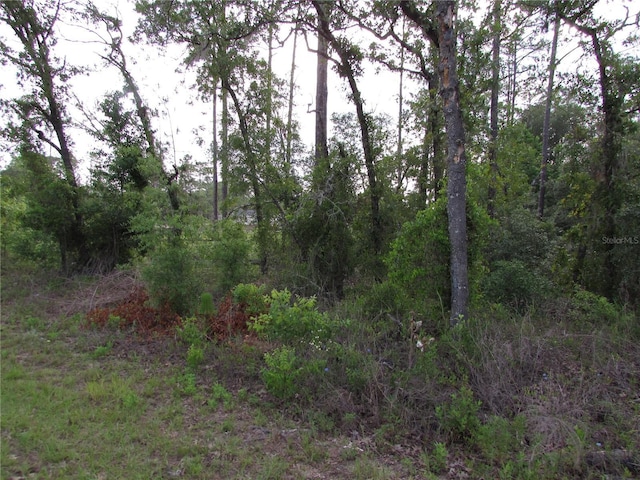 LOT37 SW Hunter Hill Ave, Dunnellon, FL 34431