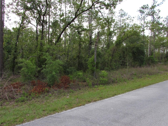 LOT37 SW Hunter Hill Ave, Dunnellon, FL 34431