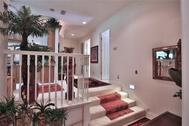 1300 SW 43rd Pl, Ocala, FL 34471