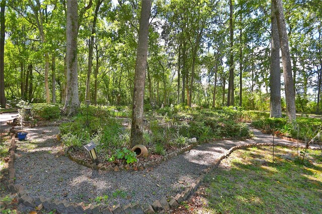 1300 SW 43rd Pl, Ocala, FL 34471