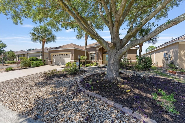 9649 SW 90th St, Ocala, FL 34481 - ranch-style home featuring an attached garage, stucco siding, and concrete driveway