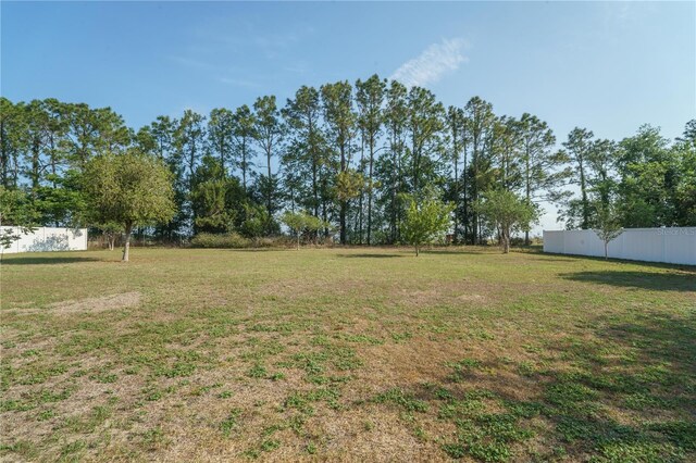 7475 SE 105th Pl, Belleview, FL 34420 - view of yard