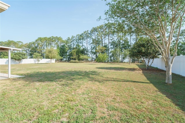 7475 SE 105th Pl, Belleview, FL 34420 - view of yard