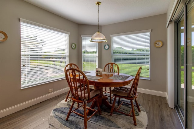 1690 SW 158th Ln, Ocala, FL 34473 - dining space featuring baseboards and light wood-style floors
