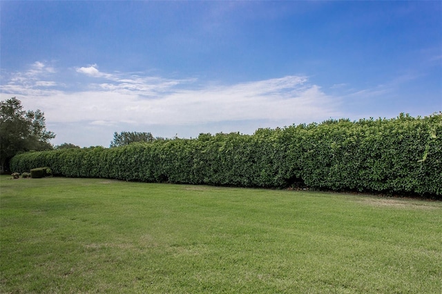 1690 SW 158th Ln, Ocala, FL 34473 - view of green lawn