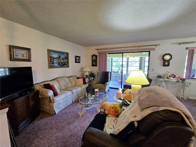carpeted living area with a textured ceiling