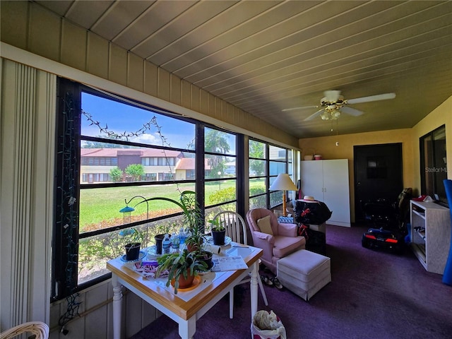 sunroom featuring healthy amount of natural light and carpet floors