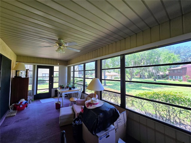 sunroom featuring ceiling fan and carpet floors