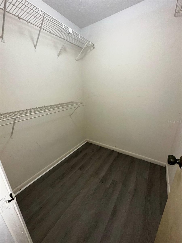 walk in closet with dark wood-type flooring
