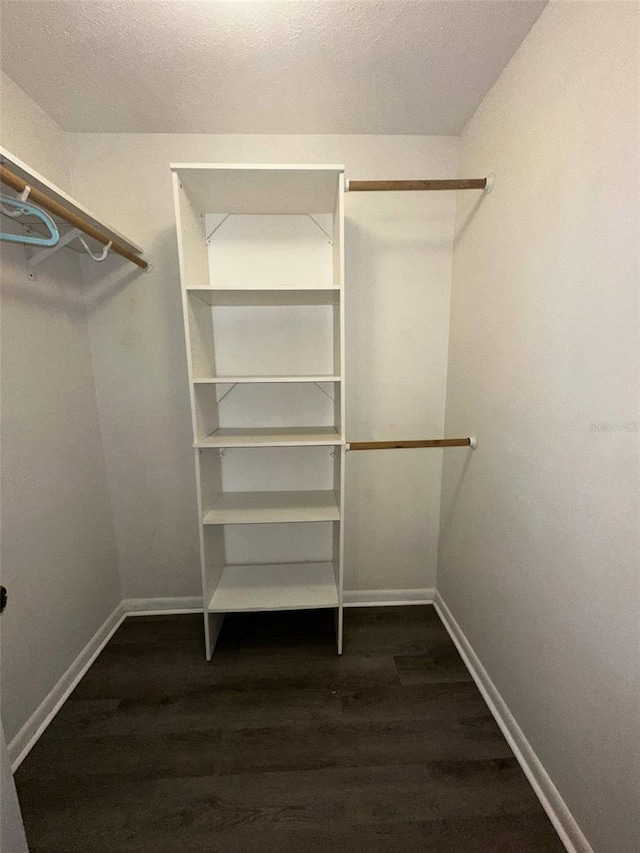 walk in closet featuring dark wood-style flooring