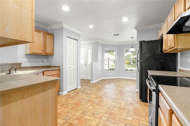 9287 SW 91st Court Rd, Ocala, FL 34481 - kitchen featuring range hood, electric range, baseboards, brick flooring, and light brown cabinetry