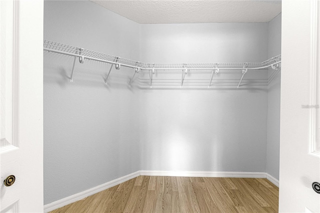 9287 SW 91st Court Rd, Ocala, FL 34481 - spacious closet with wood finished floors