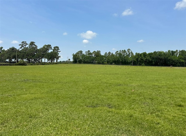 9675 NW 63rd St, Ocala, FL 34482 - photo 1