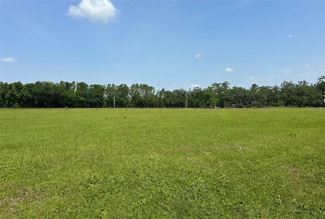 9675 NW 63rd St, Ocala, FL 34482 - photo 2