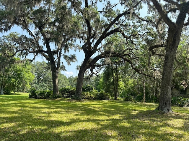 9675 NW 63rd St, Ocala, FL 34482 - photo 3