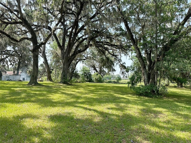 9675 NW 63rd St, Ocala, FL 34482 - photo 4