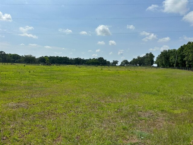 9675 NW 63rd St, Ocala, FL 34482 - photo 11