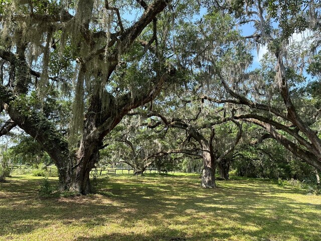 9675 NW 63rd St, Ocala, FL 34482 - photo 18