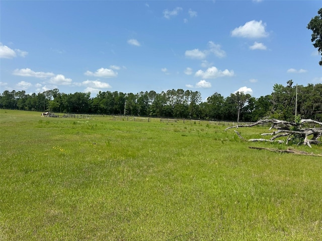 9675 NW 63rd St, Ocala, FL 34482 - photo 12