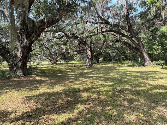 9675 NW 63rd St, Ocala, FL 34482 - photo 16