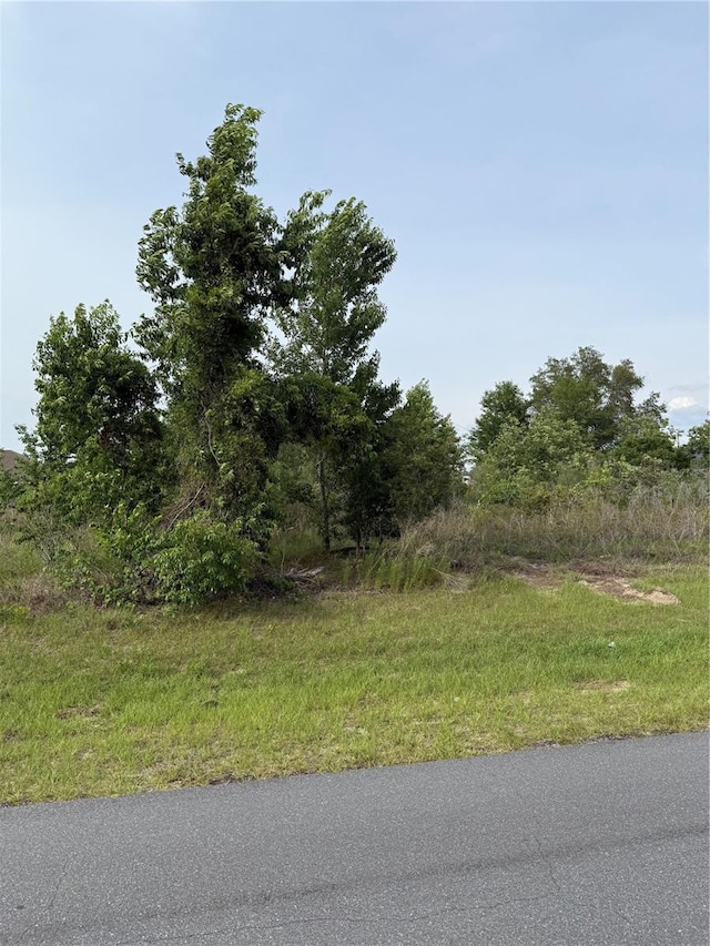 TBD SW 129th Ln, Ocala, FL 34473