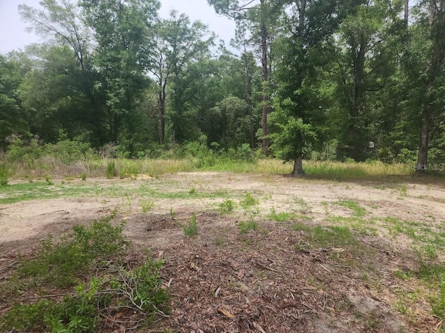 LOT10 SW 134th Ter, Ocala, FL 34481