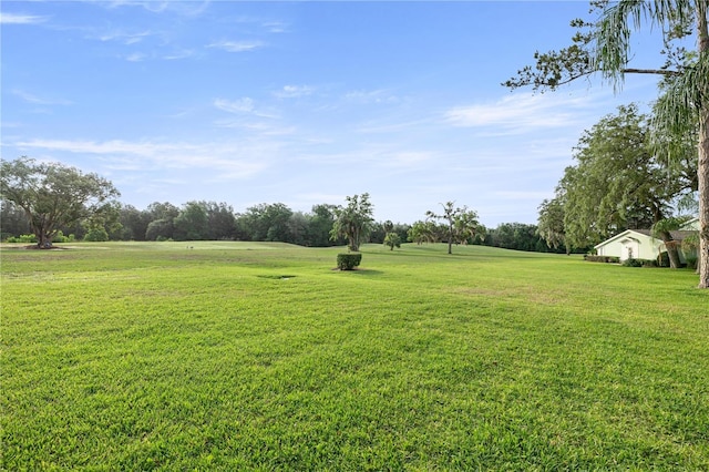 view of green lawn