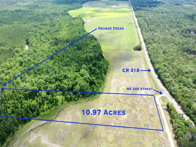 TBD NE 240th St, Fort Mc Coy, FL 32134 - photo 1