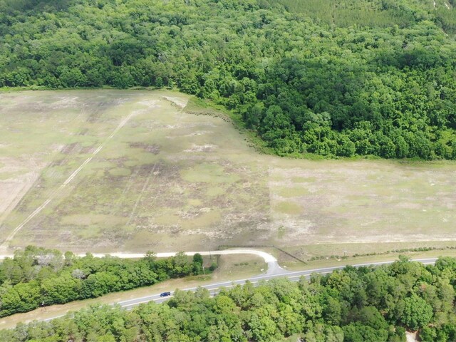TBD NE 240th St, Fort Mc Coy, FL 32134 - photo 2