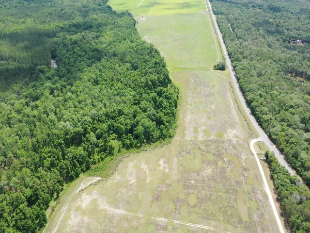 TBD NE 240th St, Fort Mc Coy, FL 32134 - photo 3