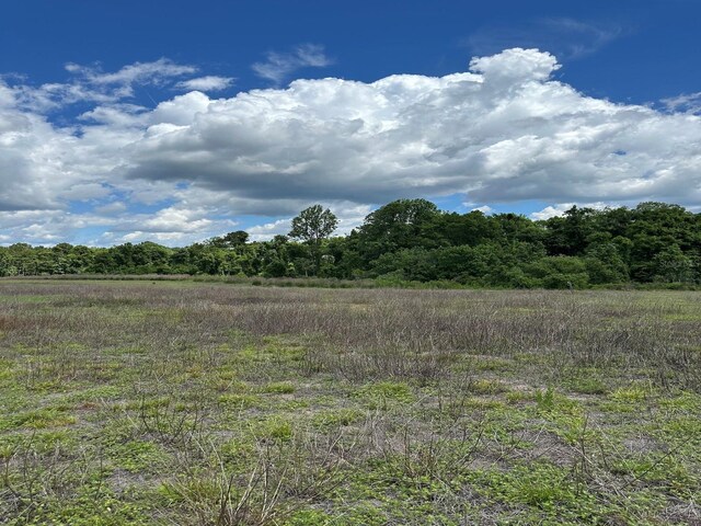 TBD NE 240th St, Fort Mc Coy, FL 32134 - photo 4