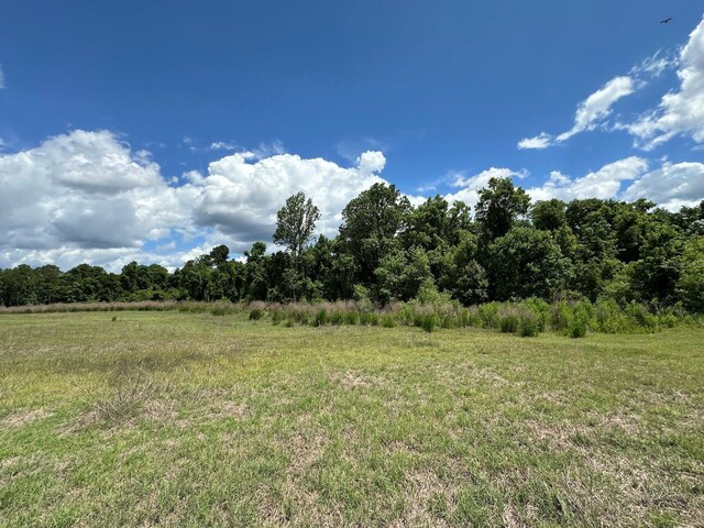 TBD NE 240th St, Fort Mc Coy, FL 32134 - photo 5