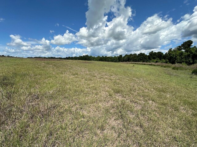 TBD NE 240th St, Fort Mc Coy, FL 32134 - photo 6