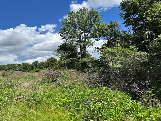 TBD NE 240th St, Fort Mc Coy, FL 32134 - photo 10