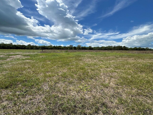TBD NE 240th St, Fort Mc Coy, FL 32134 - photo 11