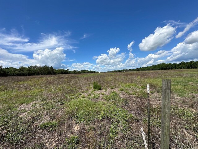 TBD NE 240th St, Fort Mc Coy, FL 32134 - photo 13