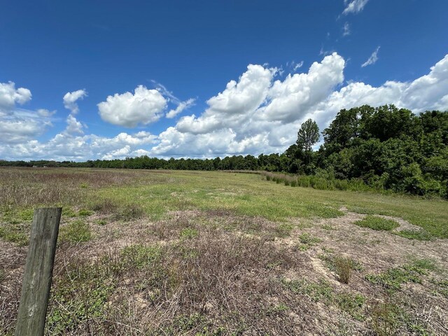 TBD NE 240th St, Fort Mc Coy, FL 32134 - photo 14