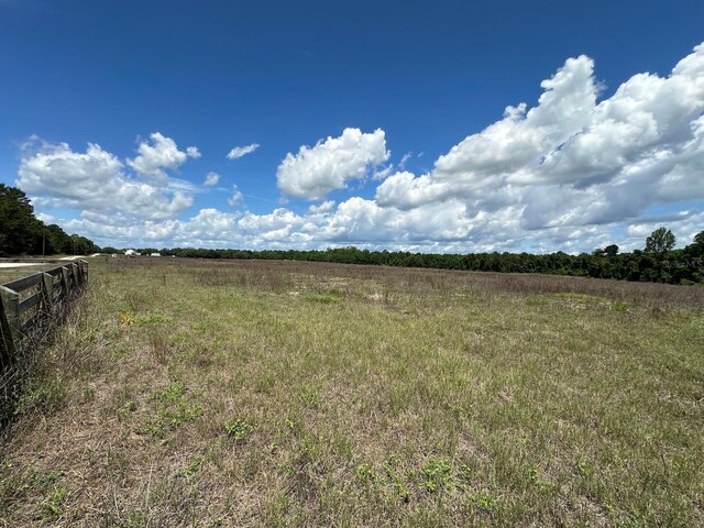 TBD NE 240th St, Fort Mc Coy, FL 32134 - photo 15