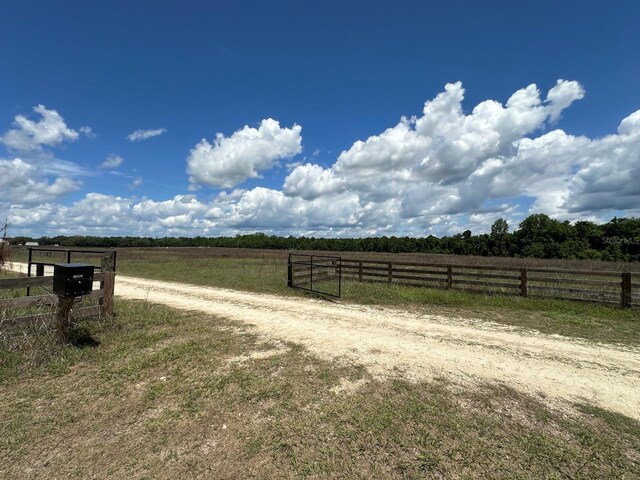 TBD NE 240th St, Fort Mc Coy, FL 32134 - photo 16