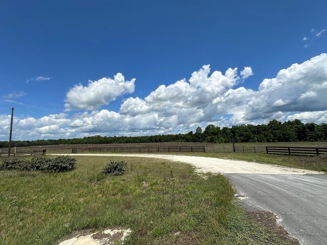 TBD NE 240th St, Fort Mc Coy, FL 32134 - photo 17