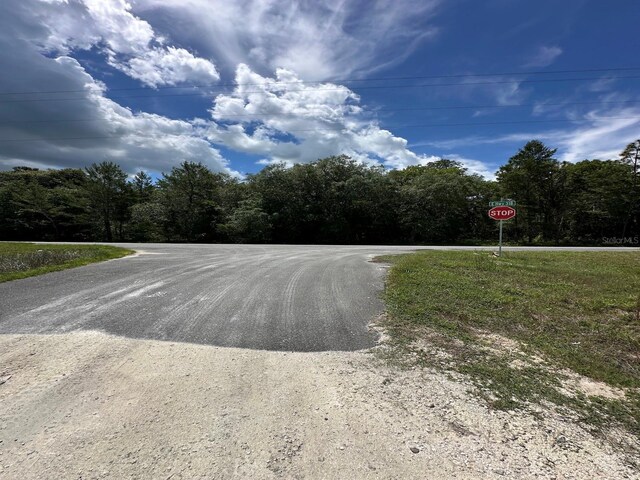TBD NE 240th St, Fort Mc Coy, FL 32134 - photo 19