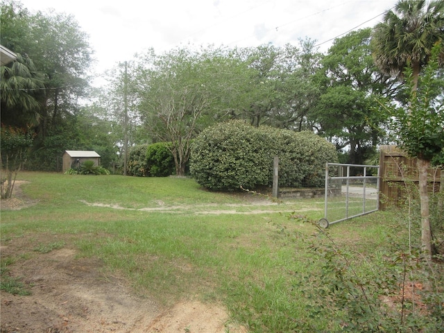 5949 SE 164th Ct, Ocklawaha, FL 32179 - view of yard featuring a storage shed and an outdoor structure