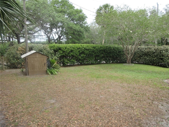 5949 SE 164th Ct, Ocklawaha, FL 32179 - view of green lawn with a shed and an outbuilding