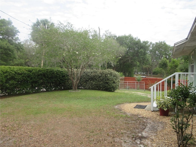 5949 SE 164th Ct, Ocklawaha, FL 32179 - view of yard