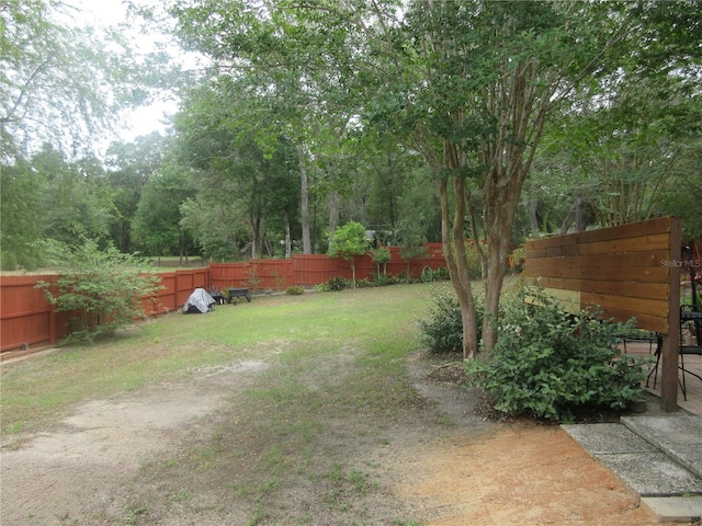 5949 SE 164th Ct, Ocklawaha, FL 32179 - view of yard